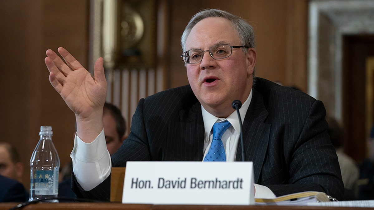 David Bernhardt hearing