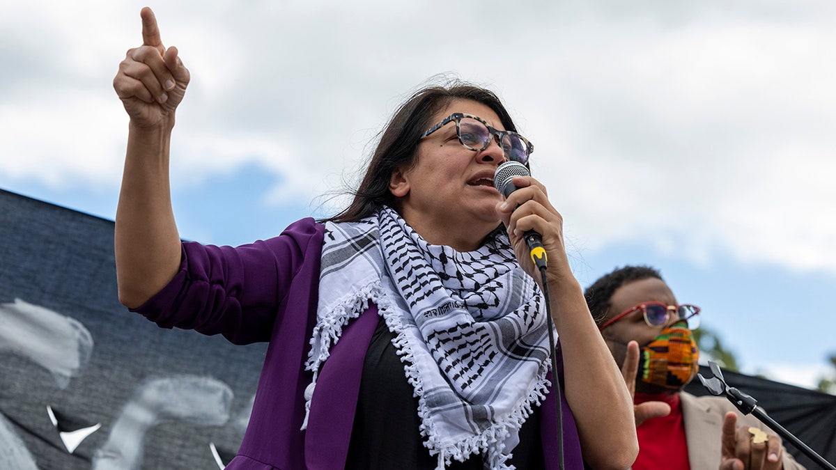 Tlaib addresses Jewish Voice protesters