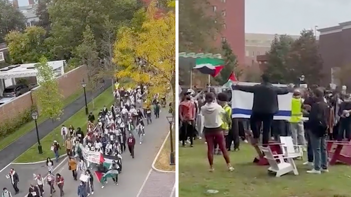 Protestors gather at Harvard University to slam Israels "genocide" of Palestinians