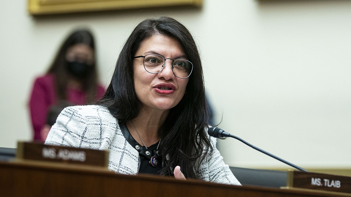 Tlaib in Congress