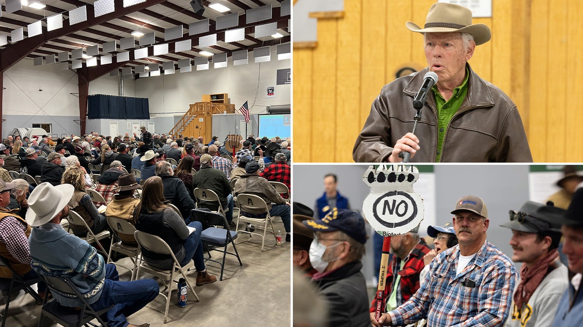 An estimated 200 residents participated in the comment session hosted by federal officials to hear feedback regarding the propoisal to release grizzly bears in a nearby forest area.