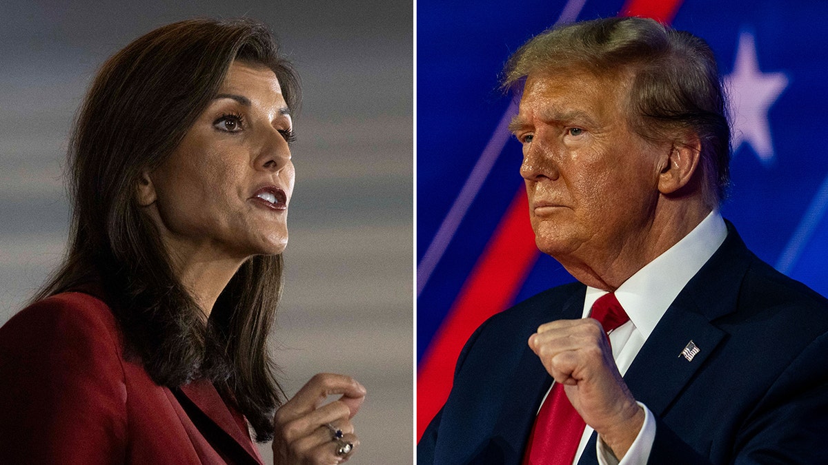 Nikki Haley, Donald Trump