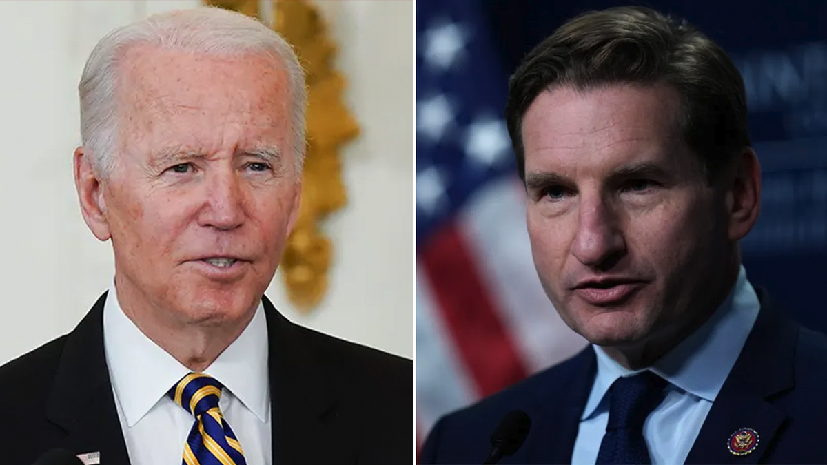 President Joe Biden and Rep. Dean Phillips split image