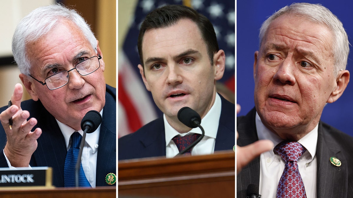 McClintock, Gallagher and Buck split image