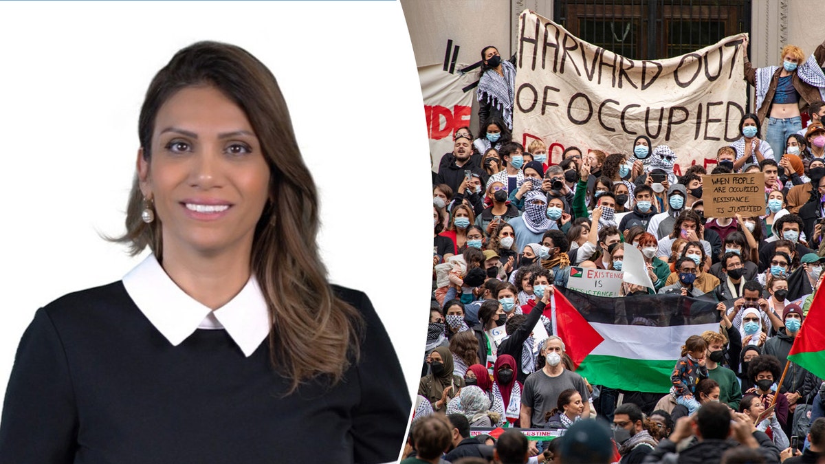 Split image of Dalal Iriqat with Pro-Palestinian protest at Harvard University