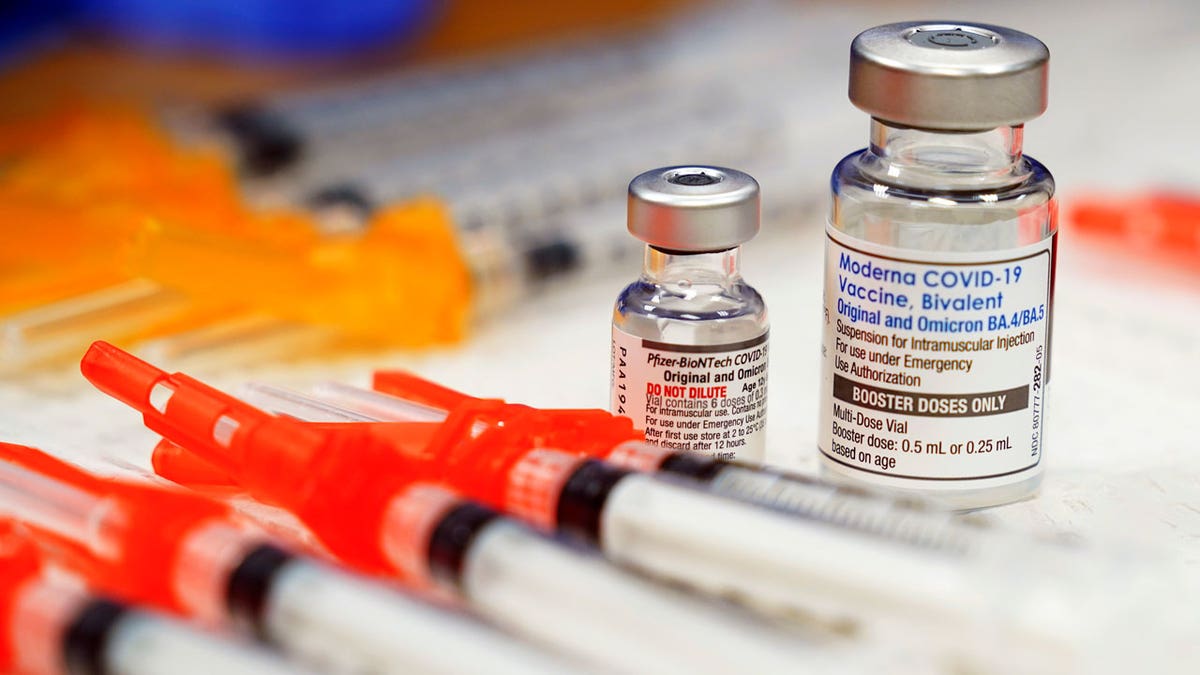 Virus Outbreak Fall Vaccines