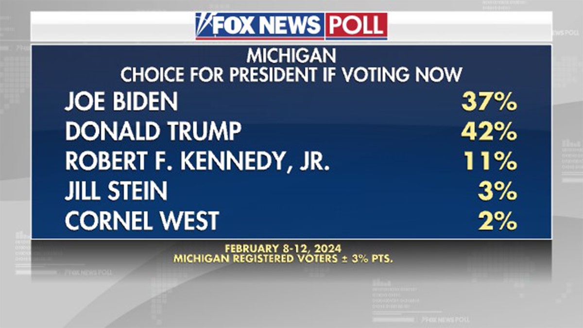 A poll of Michigan voters