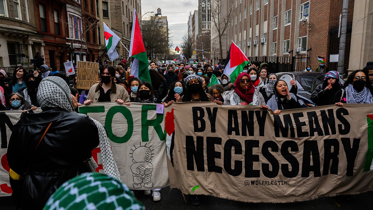 anti-Israel protest in NYC in Feb. 2024