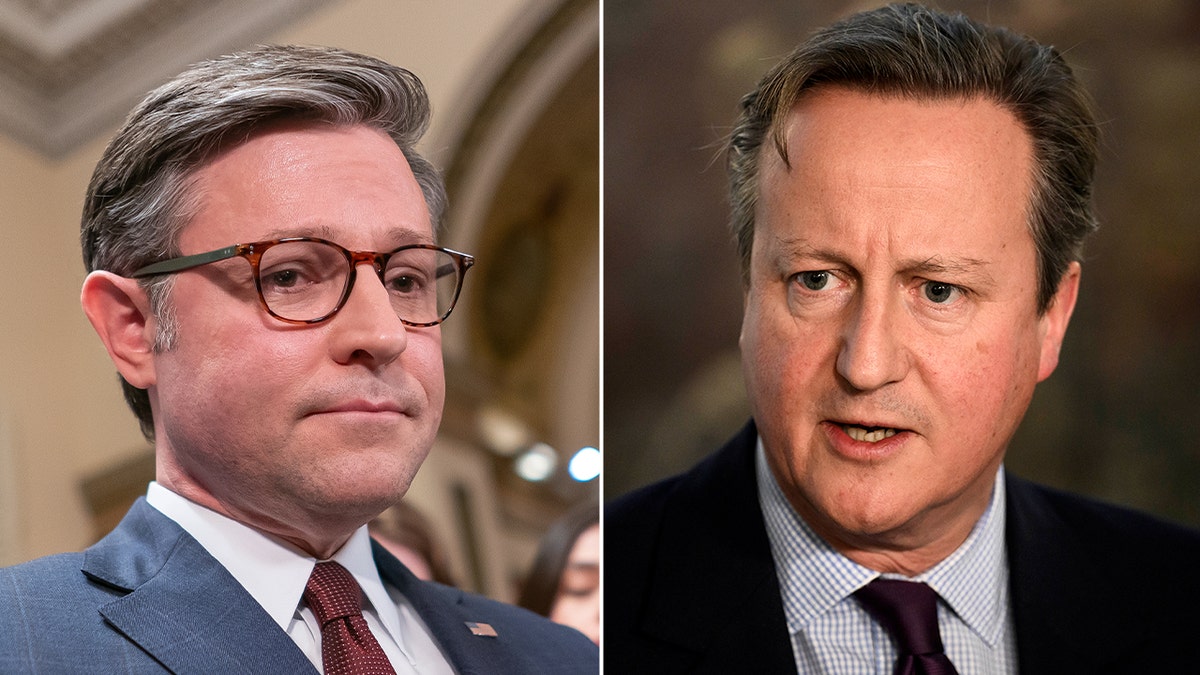 split photo of mike johnson and former UK Prime Minister David Cameron