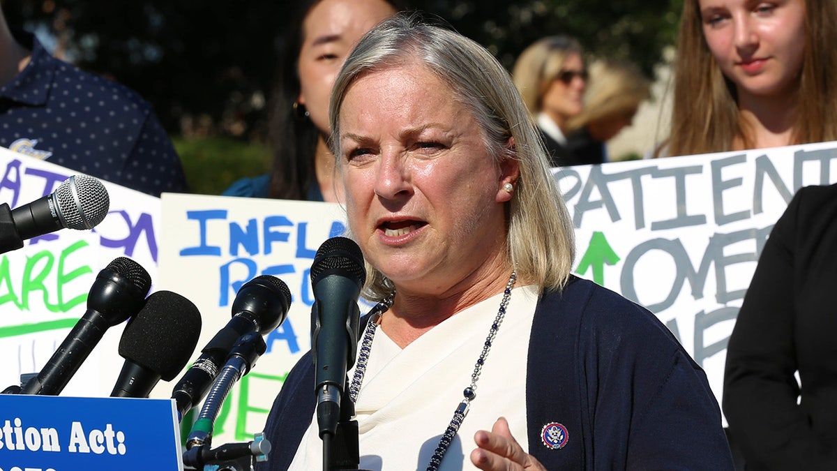 Pa. Democratic Rep. Susan Wild speaking