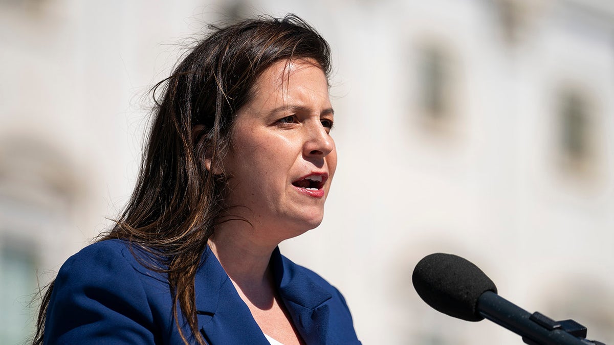 Stefanik on Capitol steps