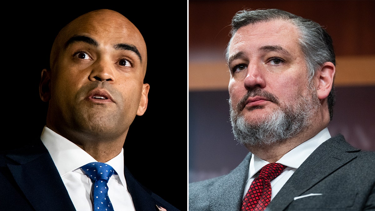 Colin Allred, Ted Cruz