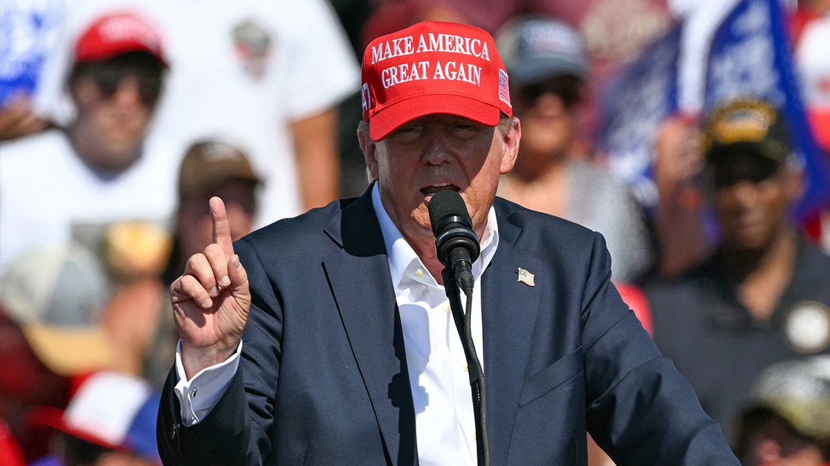 Donald Trump speaks during a campaign rally