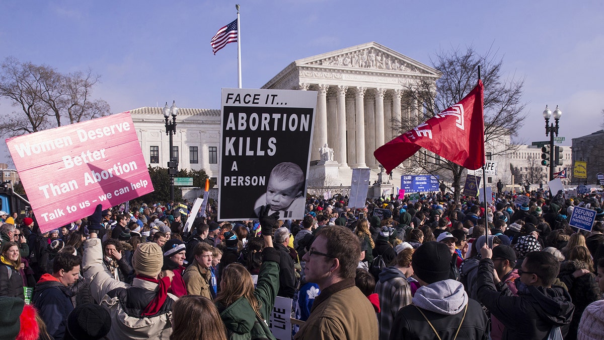 Demonstrators in front of Supreme Court