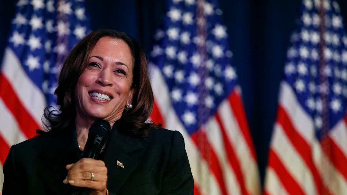 Vice President Kamala Harris speaks on July 17, 2024, in Kalamazoo, Michigan. (Chris duMond/Getty Images)