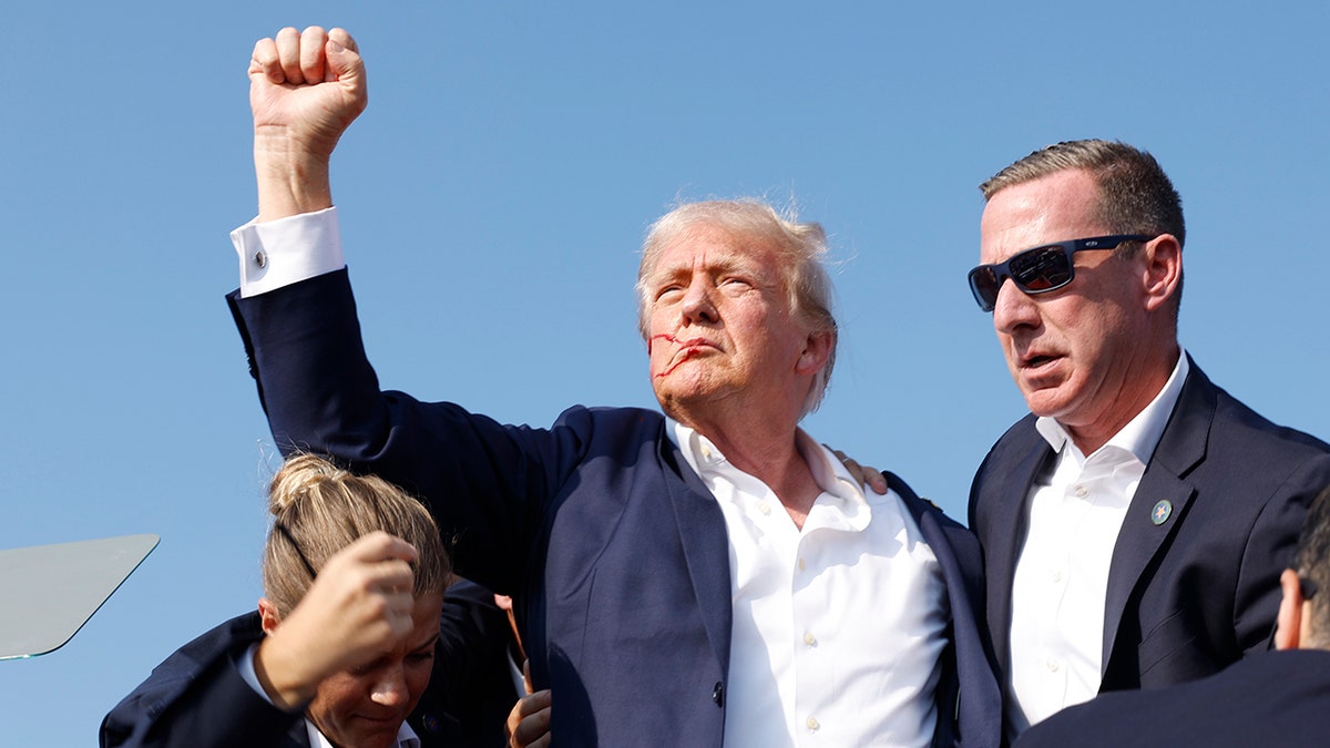 Donald Trump after being shot, with fist in air