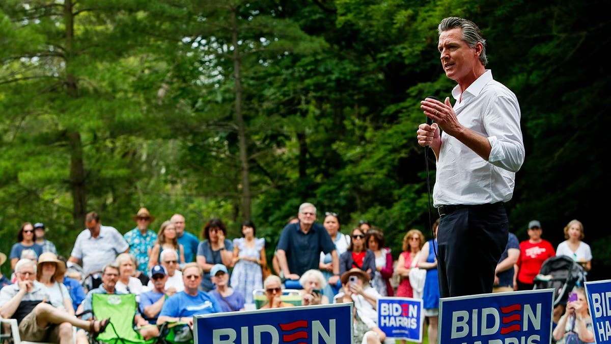 Gavin Newsom wide shot from July 4 campaign event