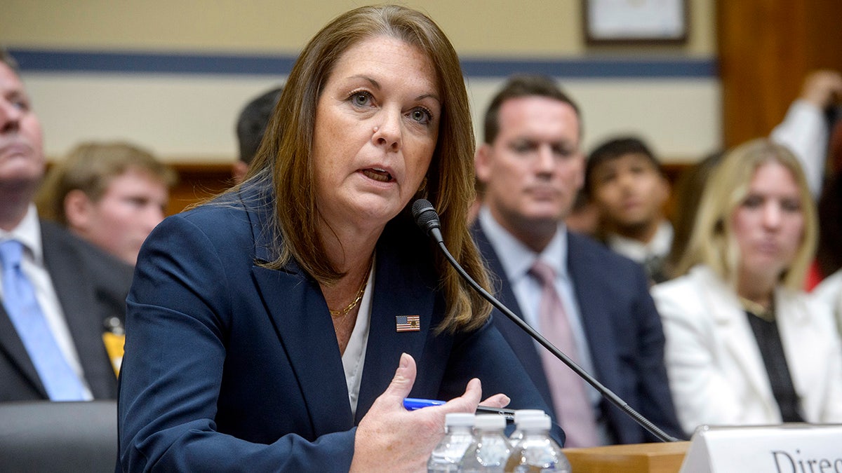 Kimberly Cheatle testifying to Congress