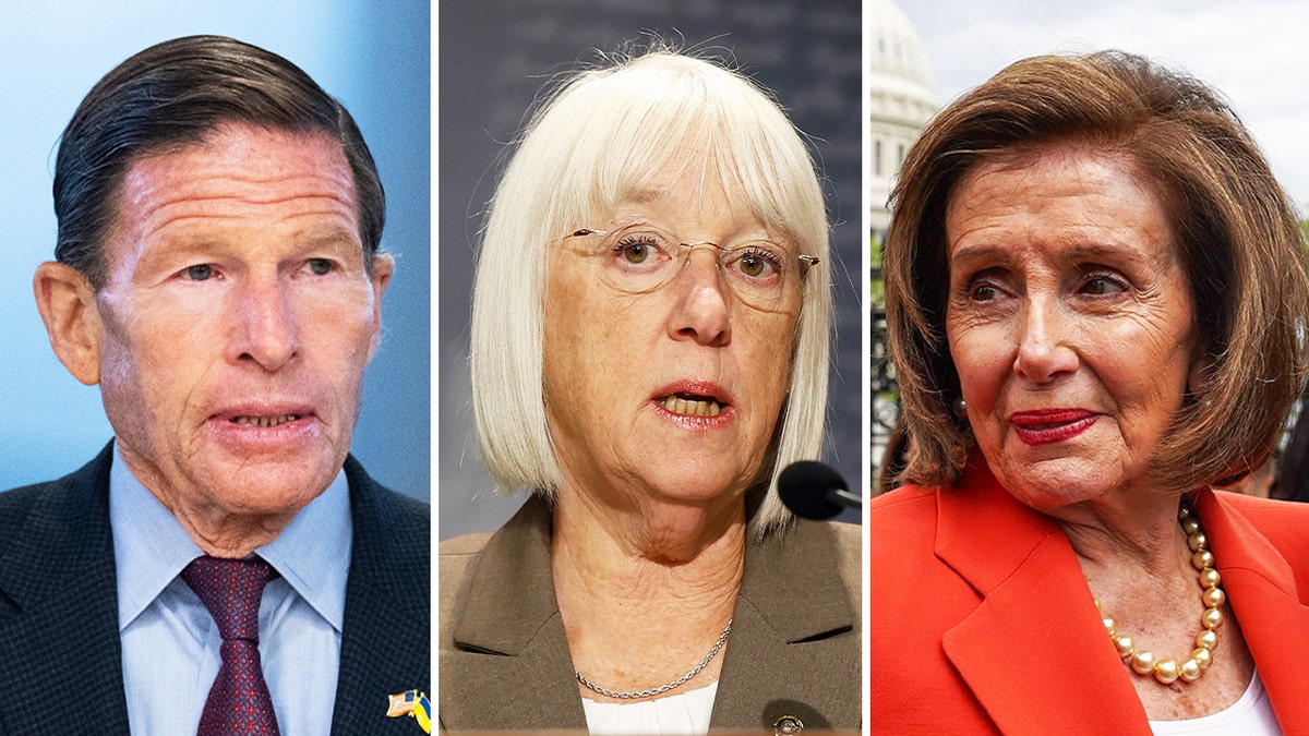 Sens. Richard Blumenthal, Patty Murray, and Rep. Nancy Pelosi.