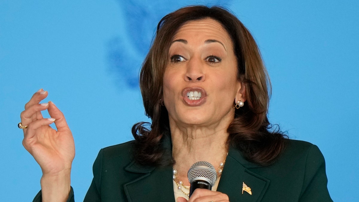 Vice President Kamala Harris closeup shot holding mic