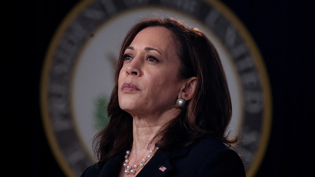 closeup shot of VP Kamala Harris