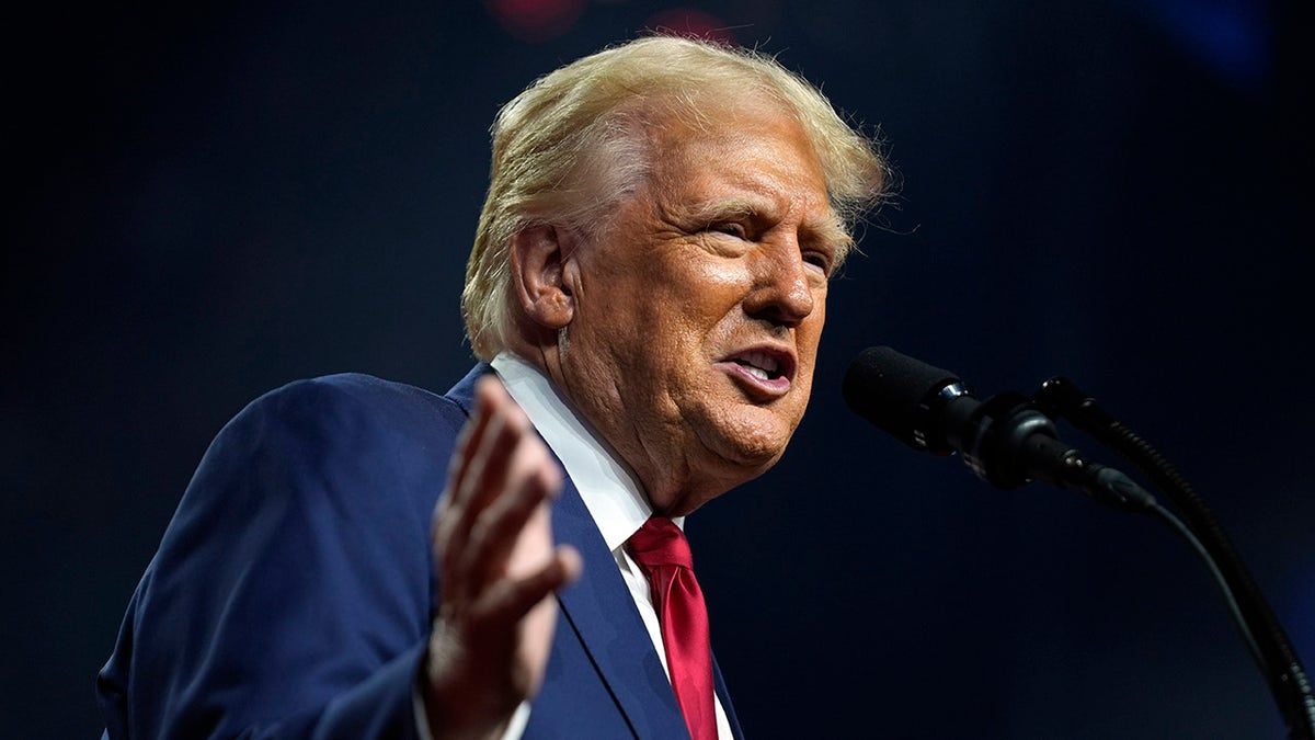 closeup shot of former President Trump at Arizona rally