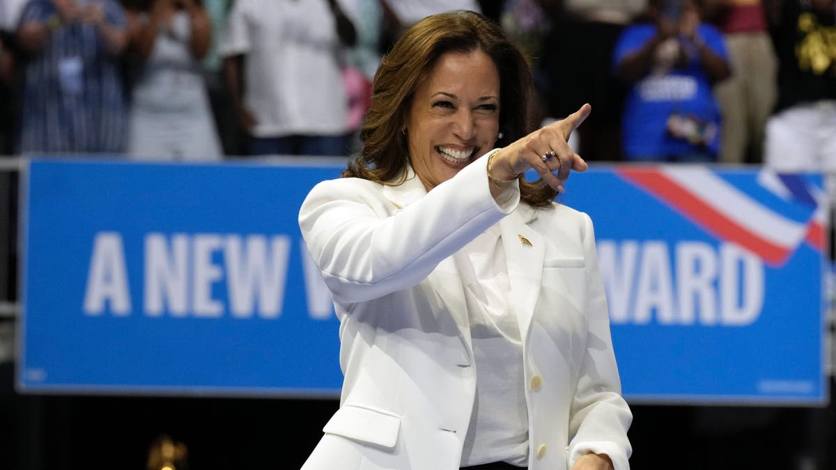 Kamala Harris pointing at Savannah rally, closeup shot