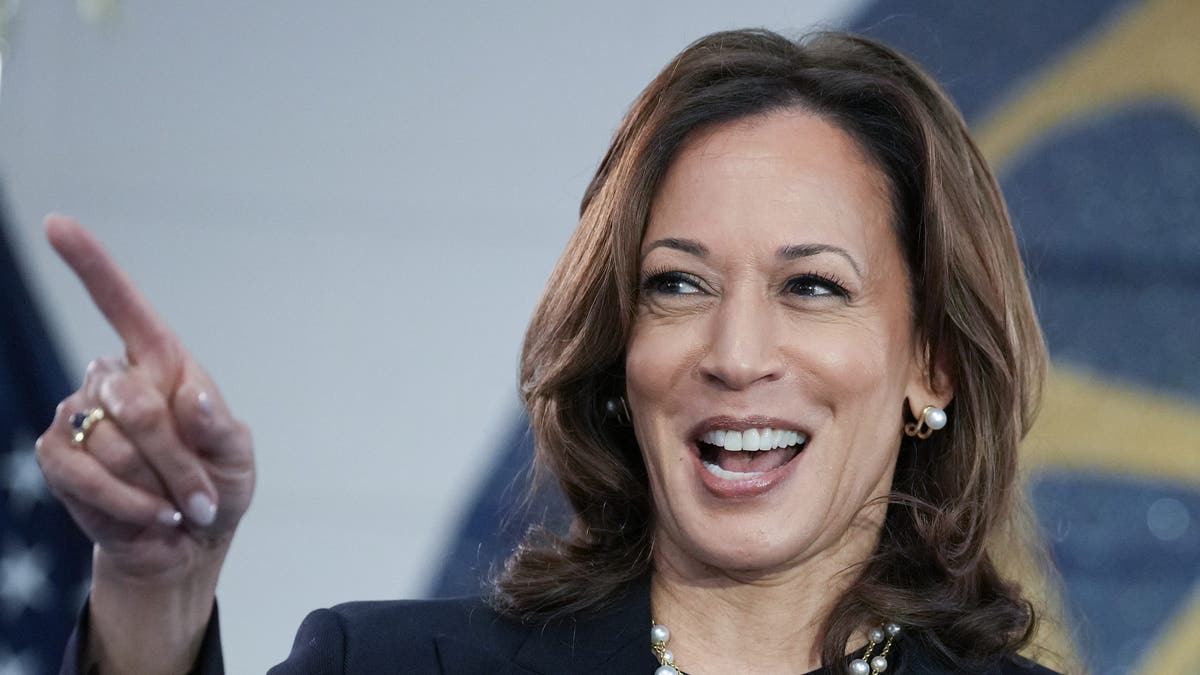 Vice President Kamala Harris speaks at a campaign rally at United Auto Workers Local 900 in Wayne, Michigan, on Aug. 8.