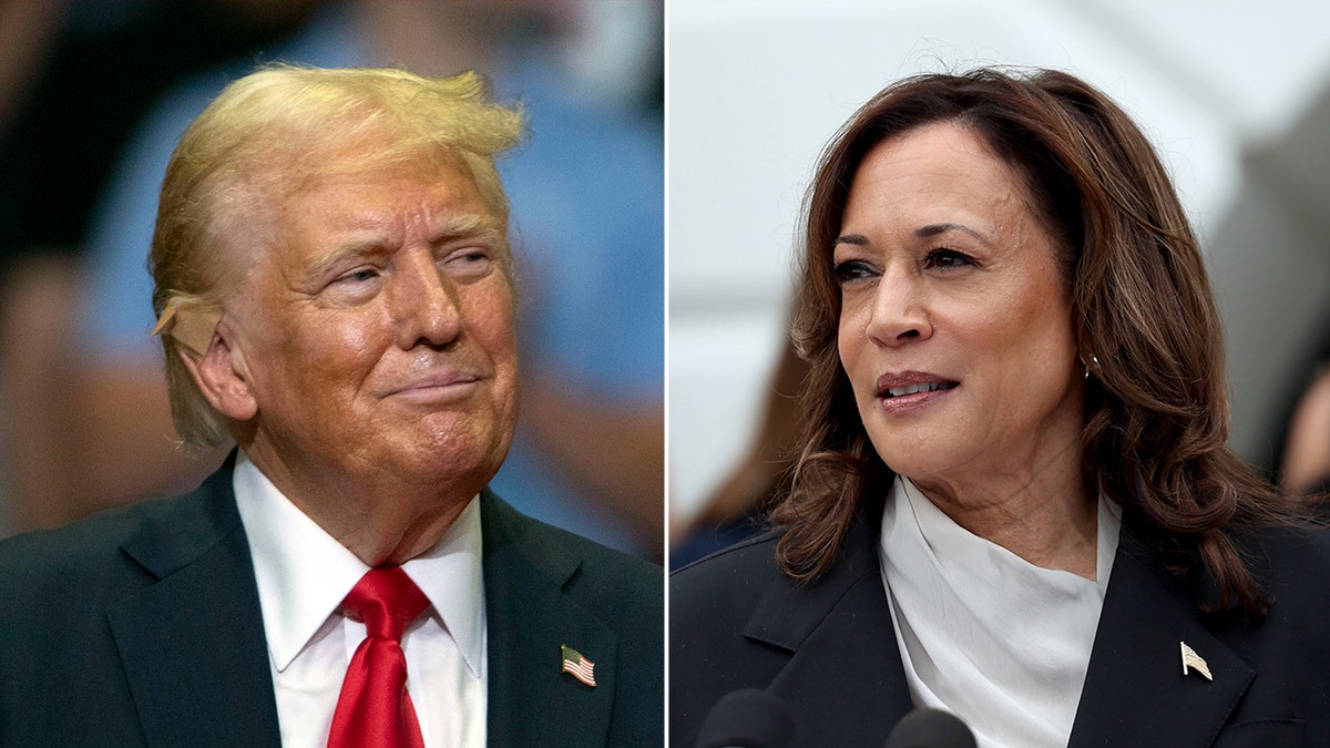 A split photo of former President Donald Trump looking off to the right (left) and Vice President Kamala Harris looking off to the left (right).