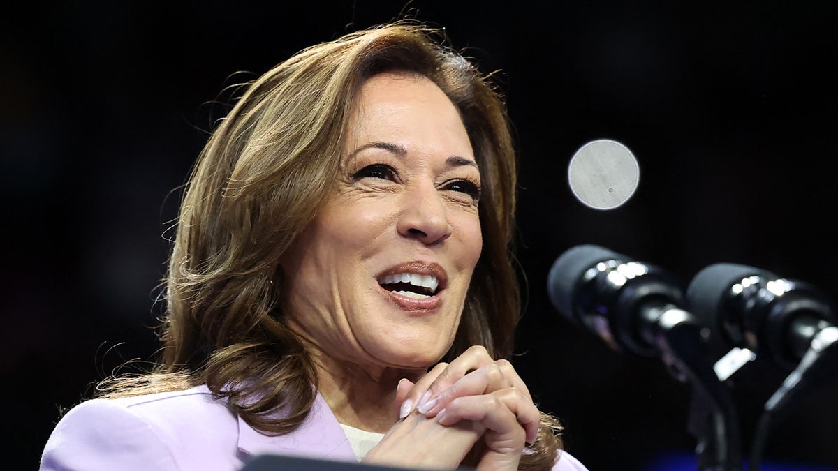 US Vice President and Democratic presidential candidate Kamala Harris speaks during a campaign rally