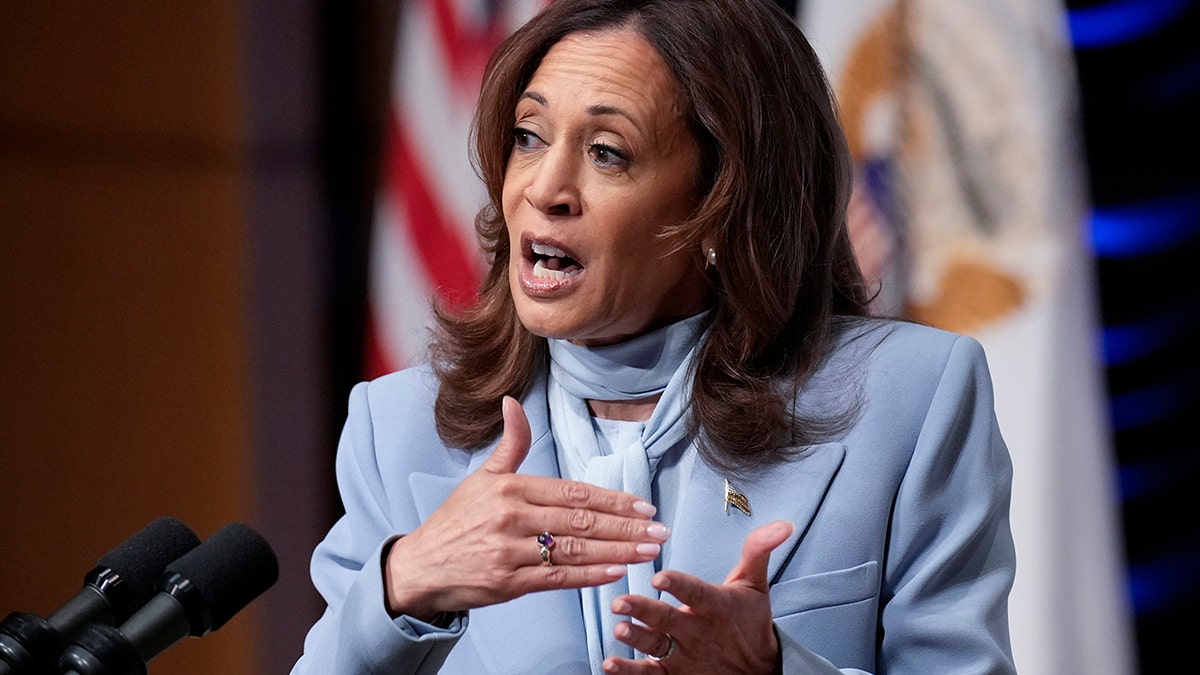 Kamala Harris in powder blue suit closeup photo