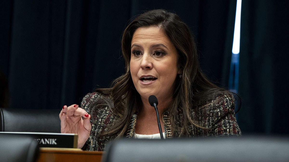 Stefanik grills Harvard president at congressional hearing