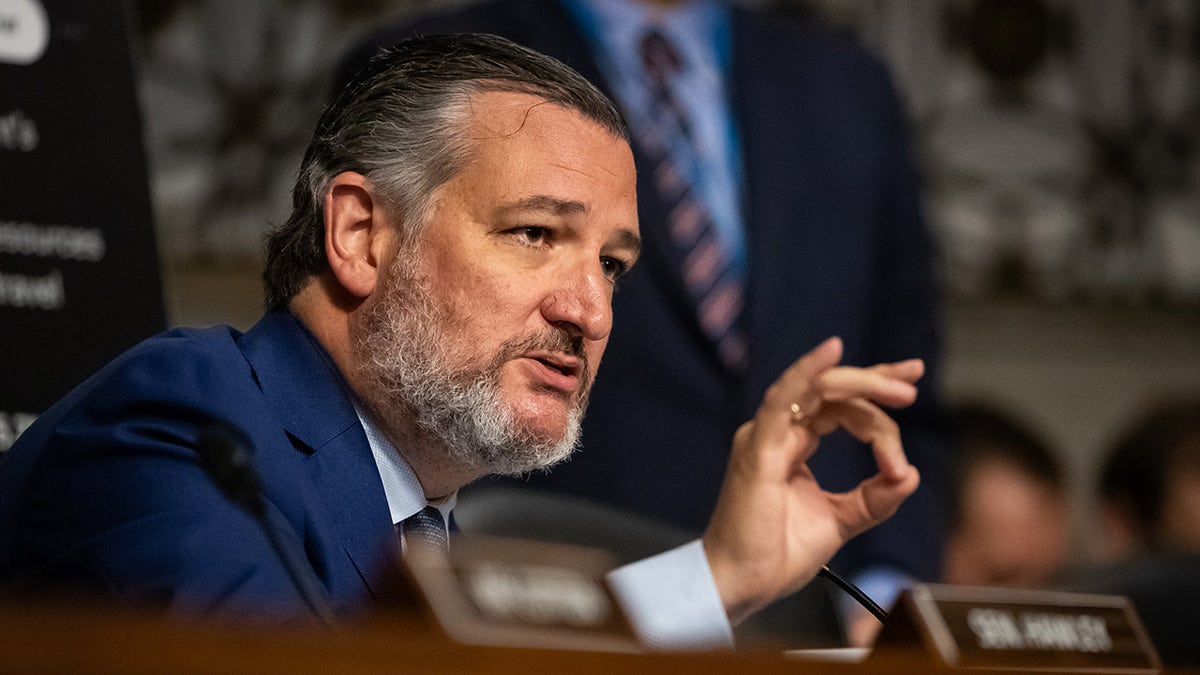 Ted Cruz closeup shot