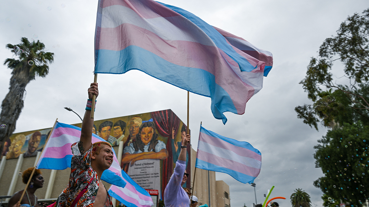 people waving transgender pride flags