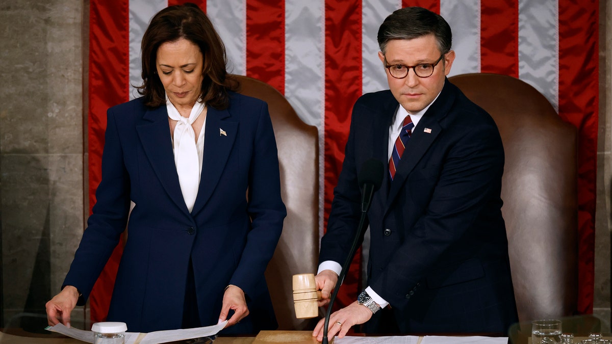 Mike Johnson holding gavel