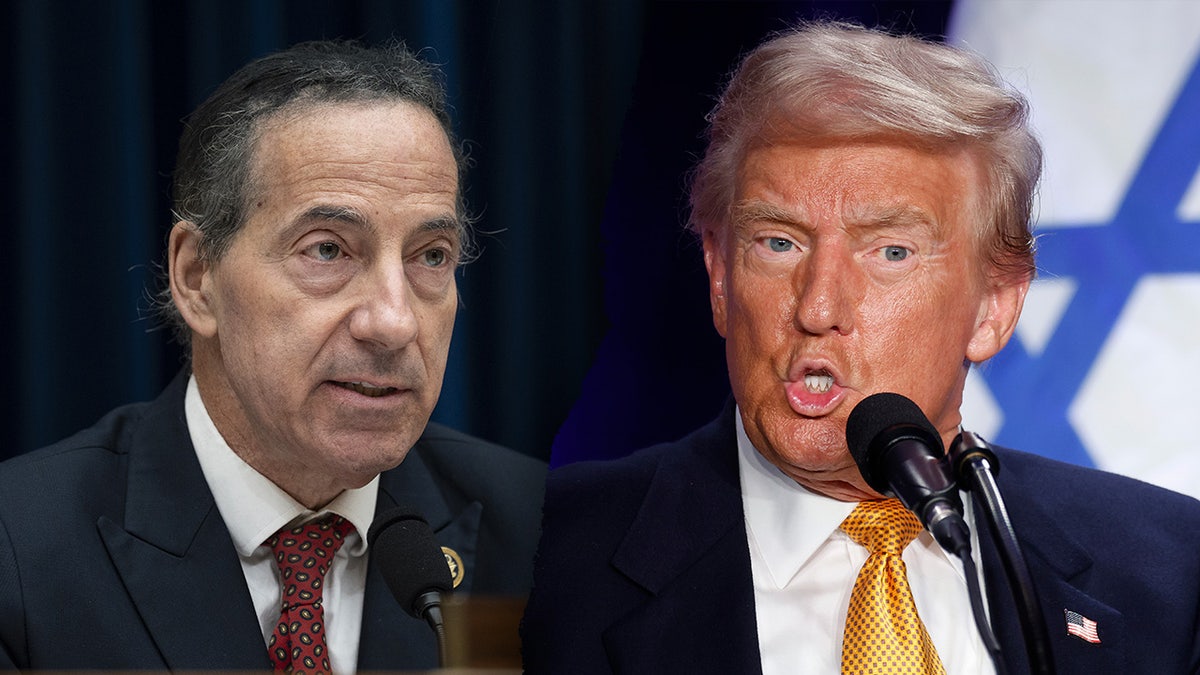 Raskin and Trump