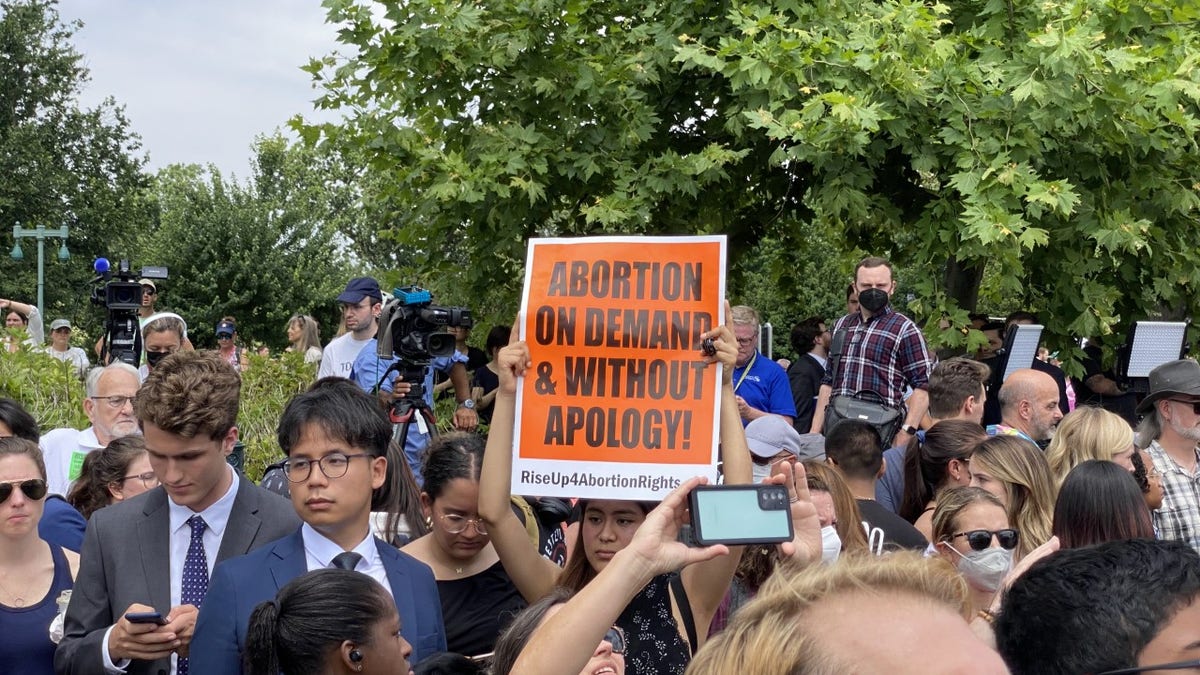 abortion rights protester holds up sign in crowd