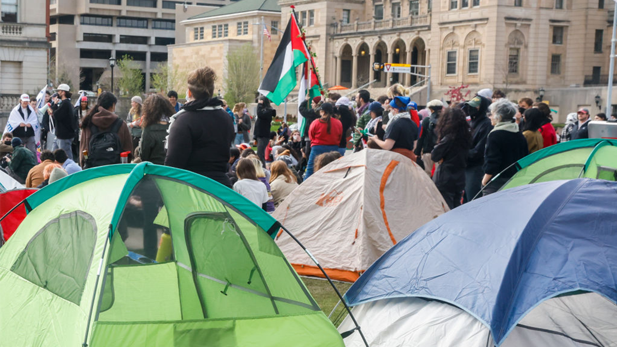 Anti-Israel demonstrators