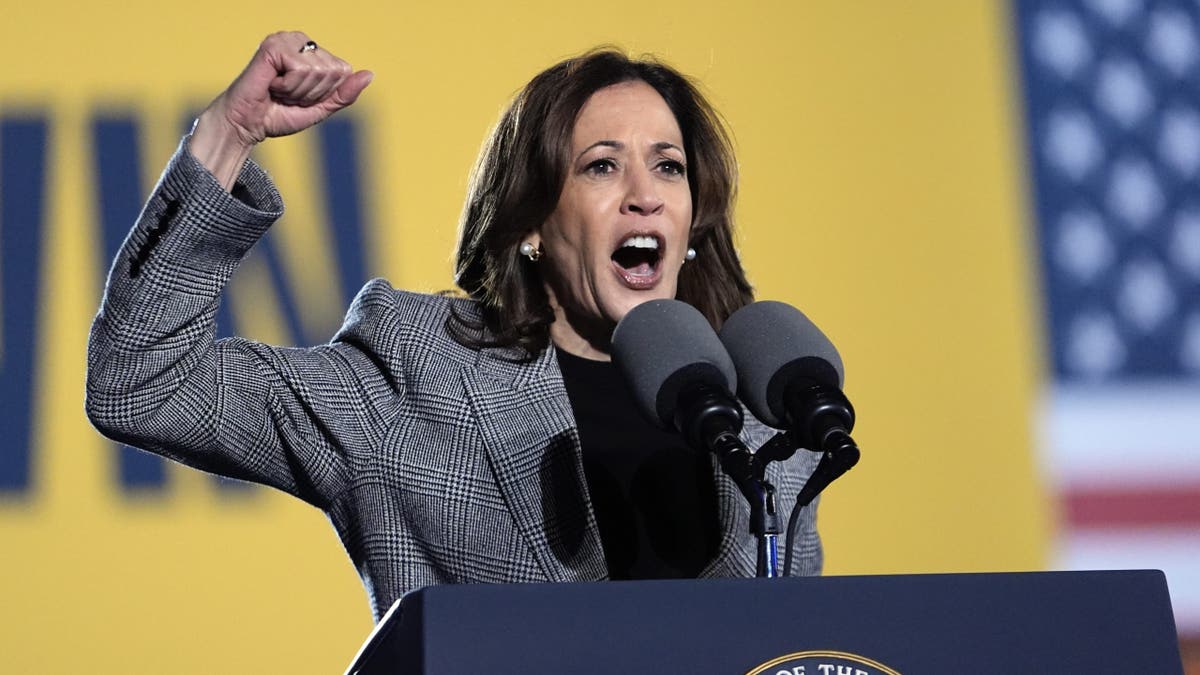 Democratic presidential nominee Vice President Kamala Harris speaks at a campaign event in Burns Park on Monday, Oct. 28, 2024 in Ann Arbor, Michigan.