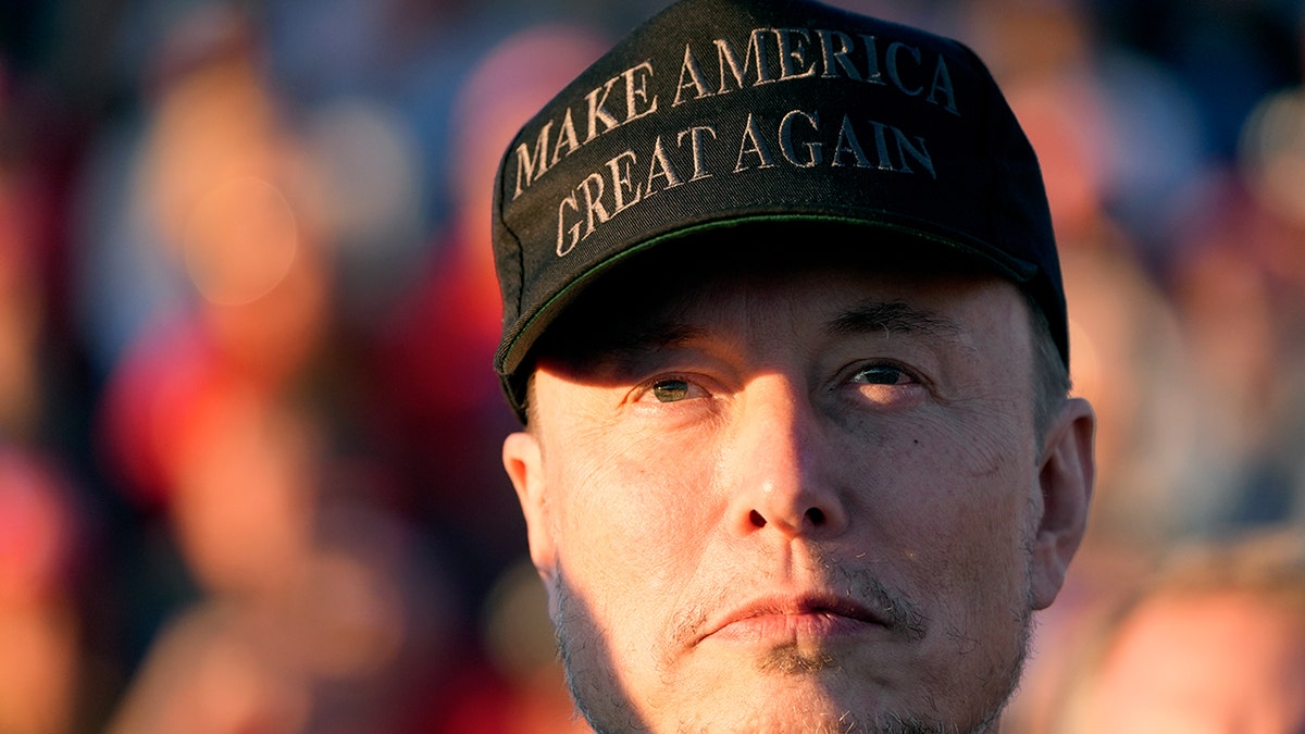 closeup shot of Elon Musk with MAGA hat on 