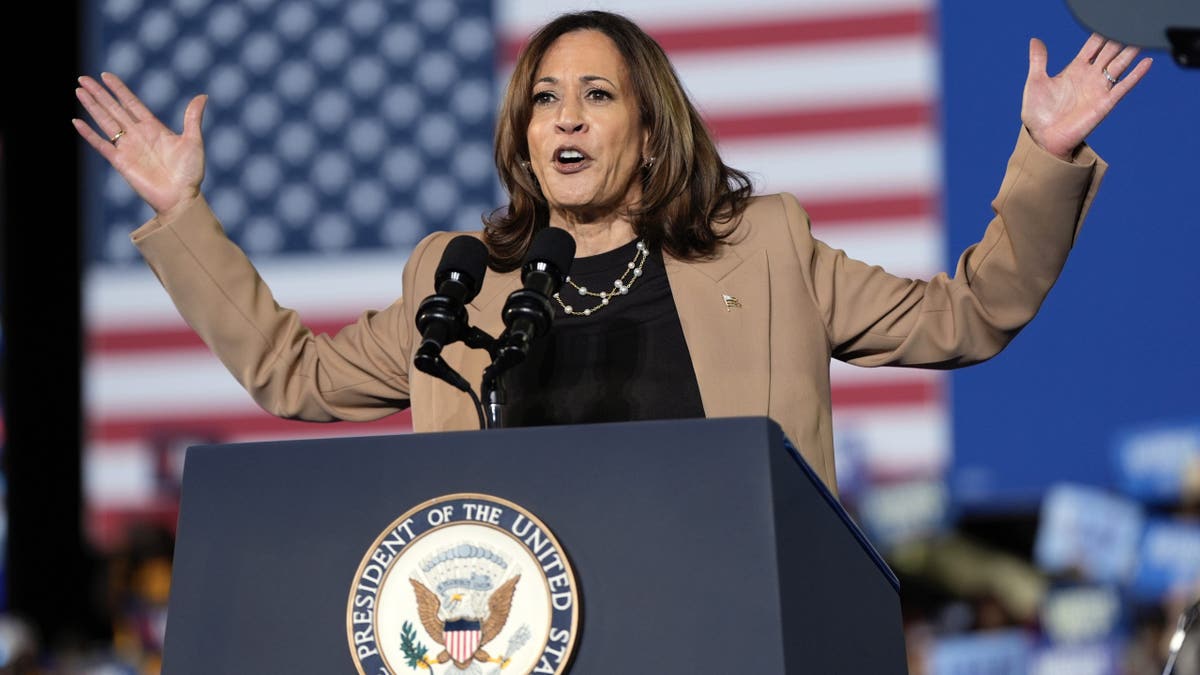 Democratic presidential nominee Vice President Kamala Harris speaks at a campaign rally at James R. Hallford Stadium on Thursday, Oct. 24, 2024 in Clarkston, Georgia.