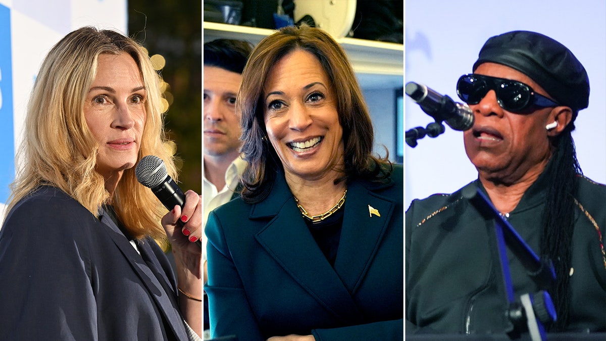 Julia Roberts, Kamala Harris, Stevie Wonder