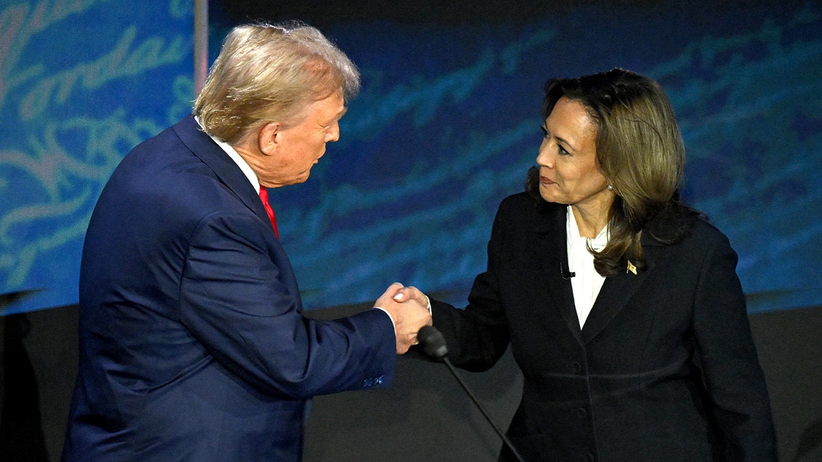 Democrats are soul-searching after Vice President Kamala Harris and others on the left lost big to Republicans on Election Day.