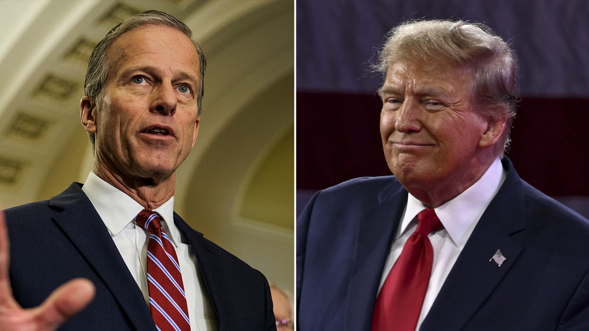 John Thune, Donald Trump