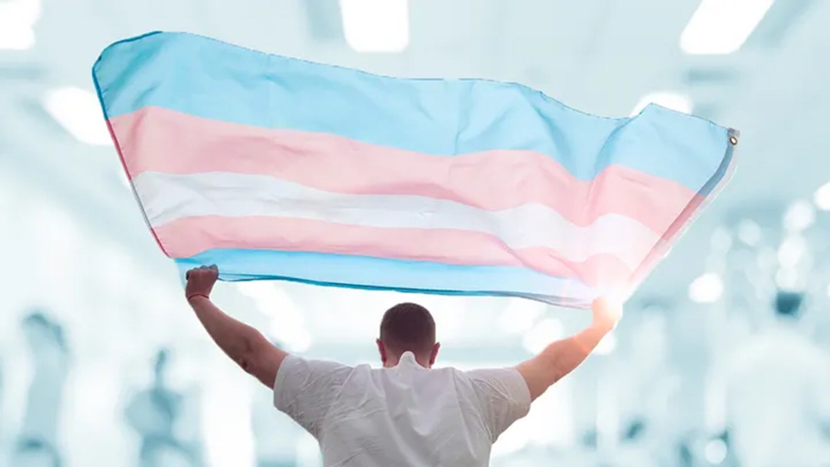 person holding transgender flag