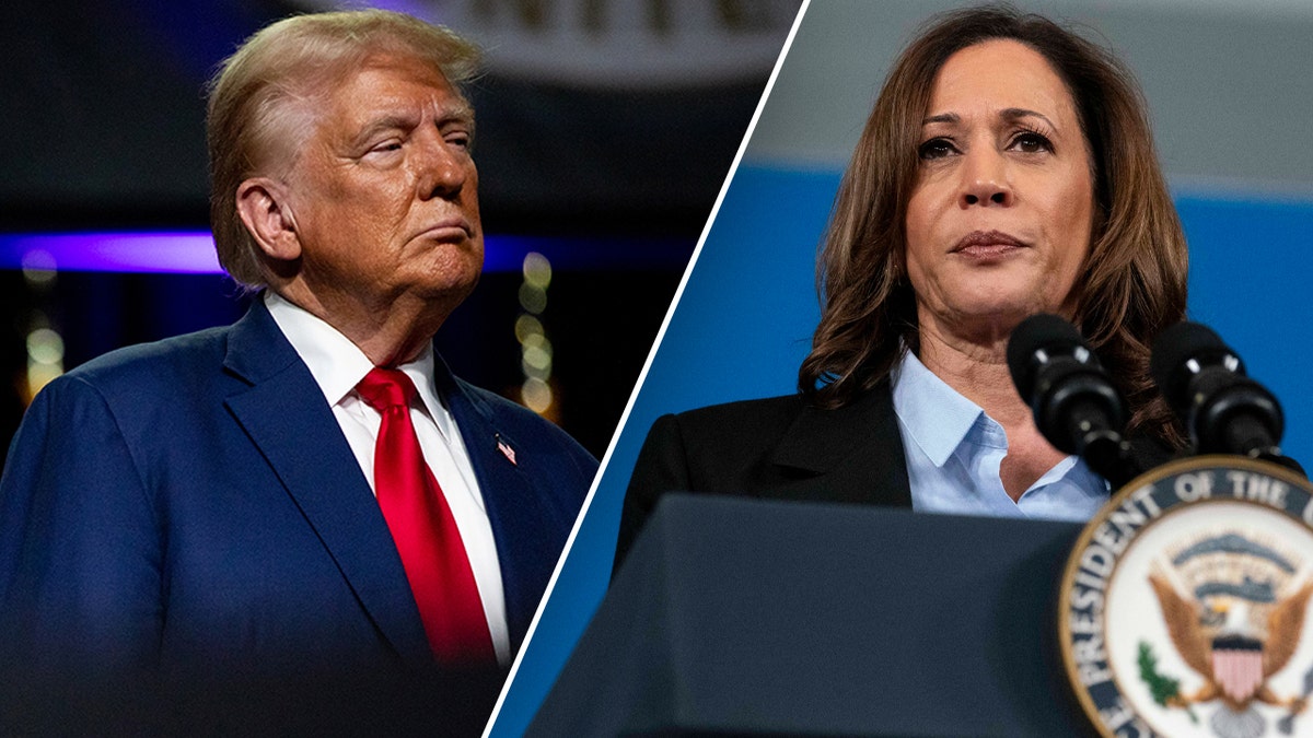 Trump and Harris split image