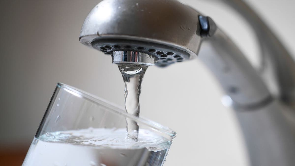 tap water fluoride