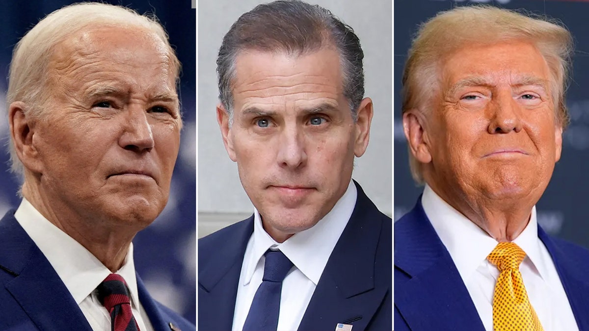 Joe Biden, Hunter Biden and Donald Trump