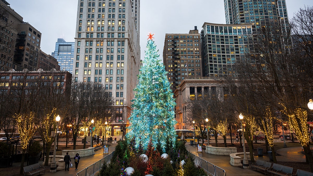 Christmas tree in Chicago