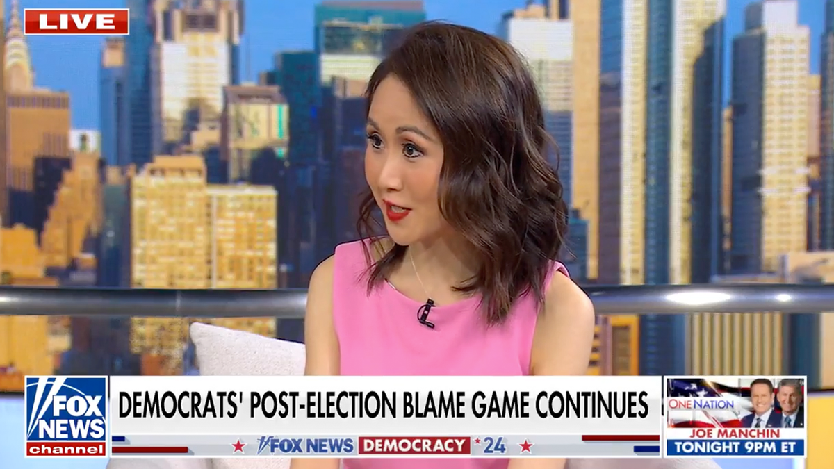 DNC official Lindy Li on Fox News